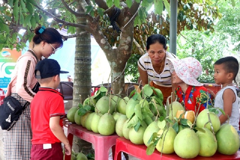 Lễ hội trái cây làng Đại Bình